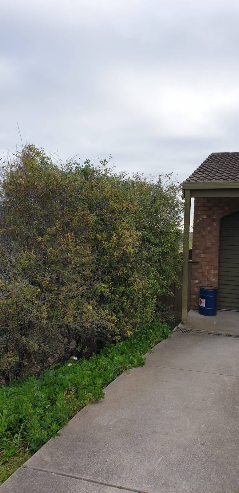 A Bark Up The Right Tree - Adelaide Tree Removals is sharing a COVID-19 update at Hallett Cove 5158.14 August Adelaide, SA, Australia