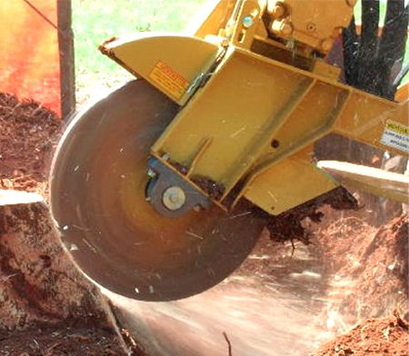 Stump Removal