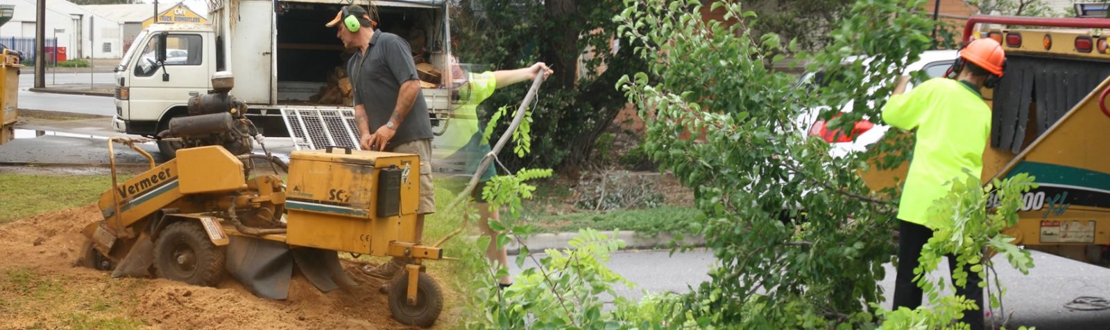 Stump Removal Adelaide | Tree & Stump Removal Adelaide