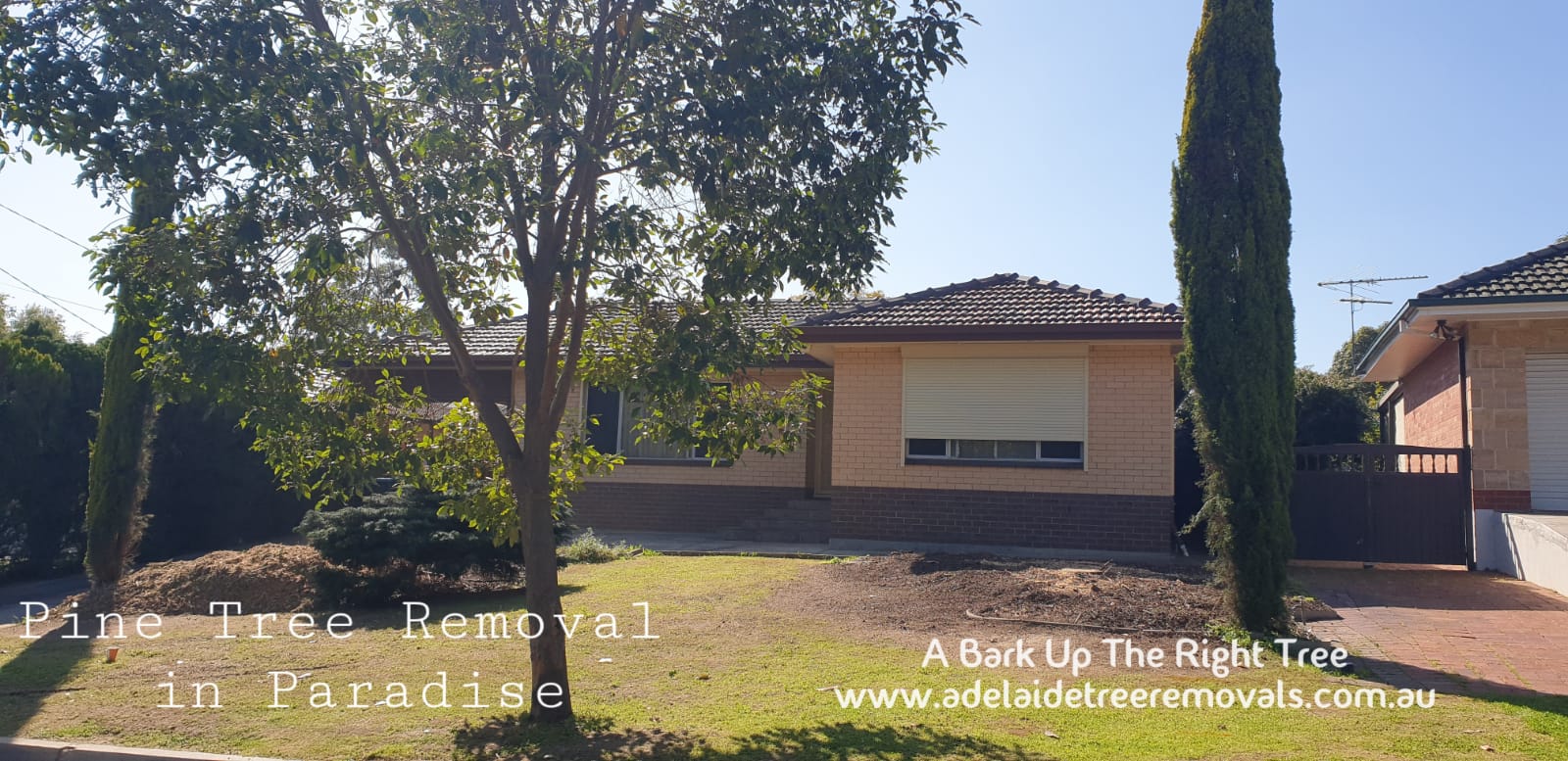 A Bark Up The Right Tree - Adelaide Tree Removals is sharing a COVID-19 update in Paradise.