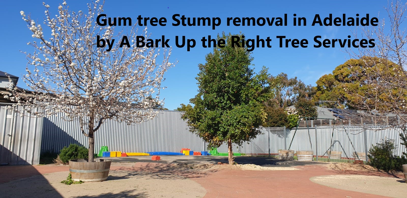 A Bark Up The Right Tree - Adelaide Tree Removals is