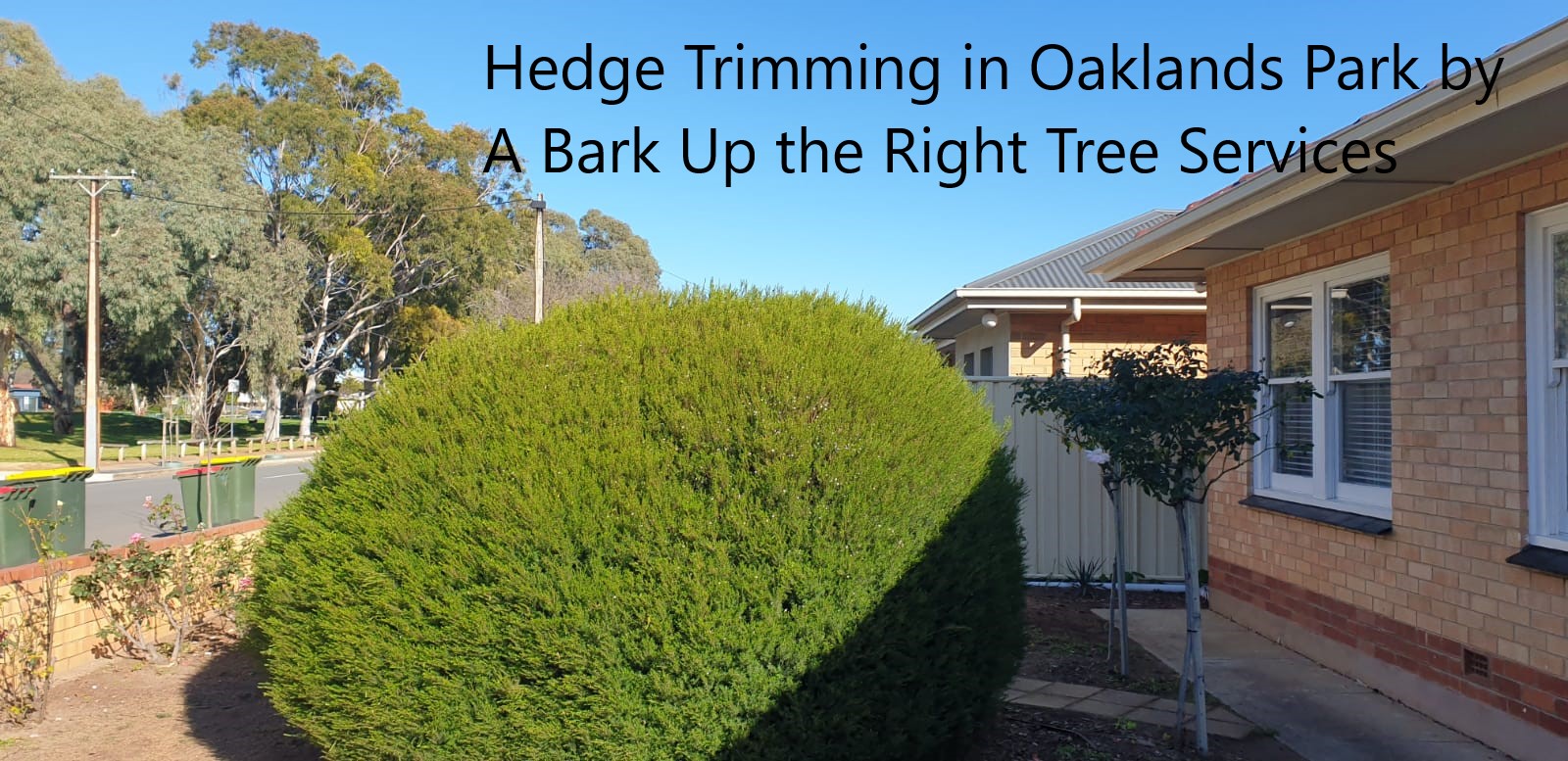 A Bark Up The Right Tree - Adelaide Tree Removals is sharing a COVID-19 update in Oaklands Park.