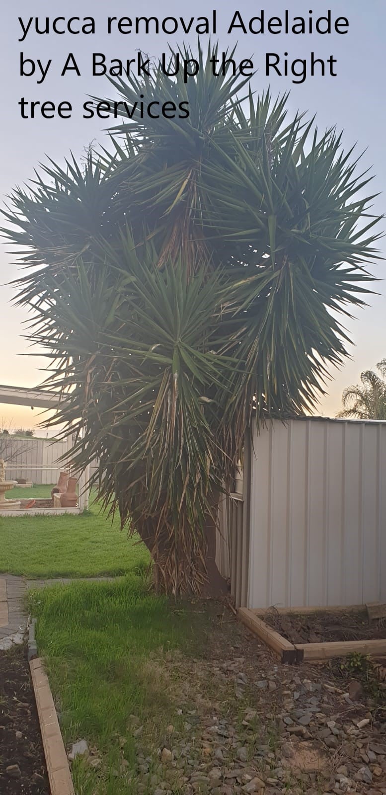 A Bark Up The Right Tree - Adelaide Tree Removals is sharing a COVID-19 update in Seaford, South Australia, Australia