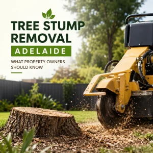 Tree Stump Removal Adelaide